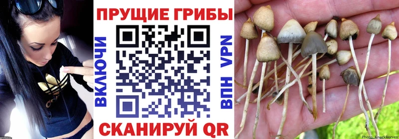 Галлюциногенные грибы мухоморы  магазин продажи   Слюдянка 